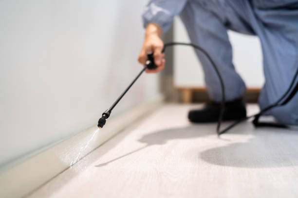 Rodent Entry Point Assessment in Carlsbad