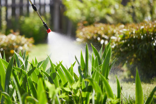 Tamper-Resistant Bait Stations for Rodents in Carlsbad